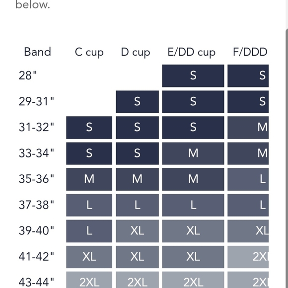 Evelyn Bra Medium NWT By Evelyn & Bobbie - Picture 4 of 5